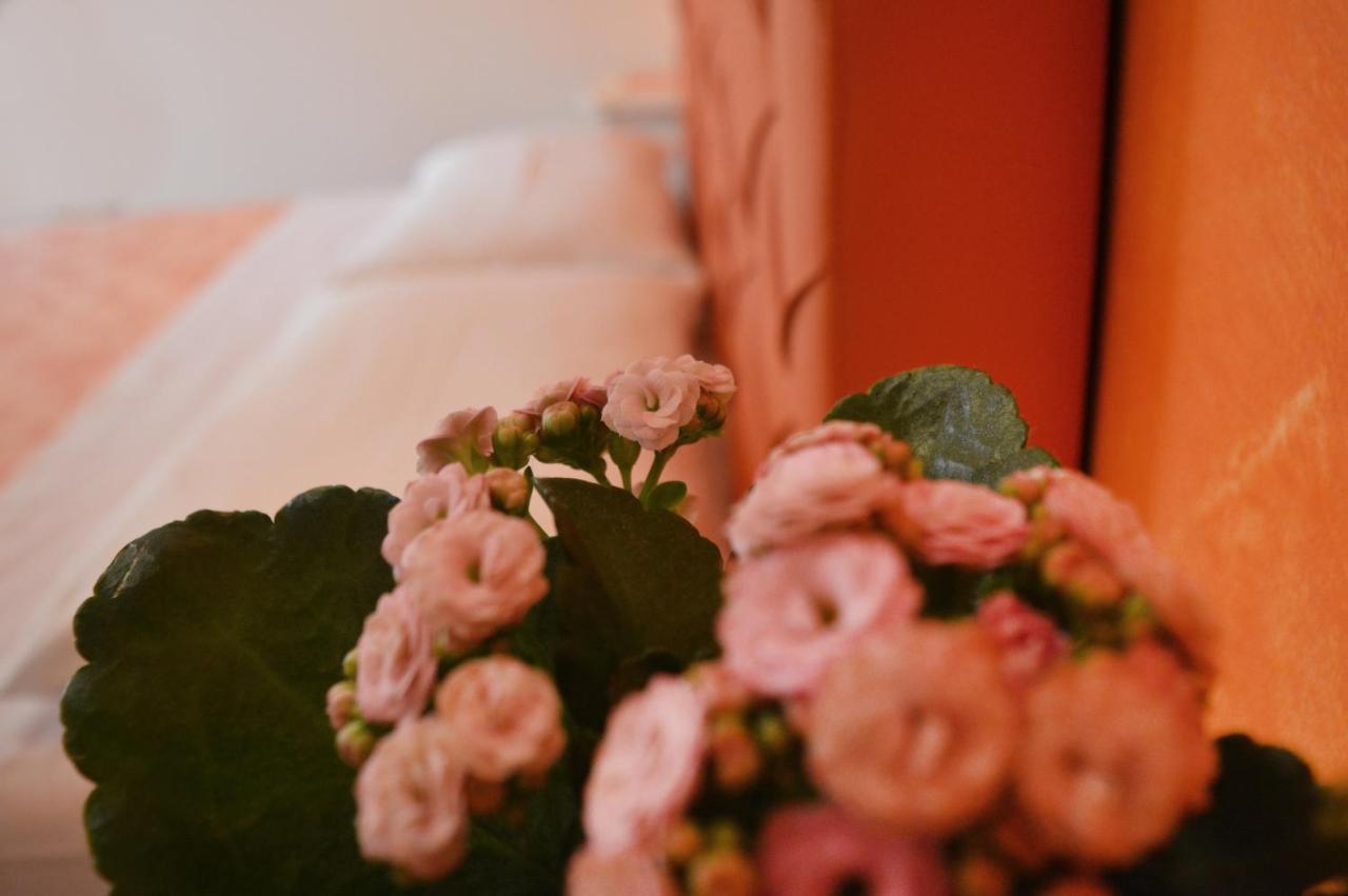Tally B&B Salve Esterno foto
